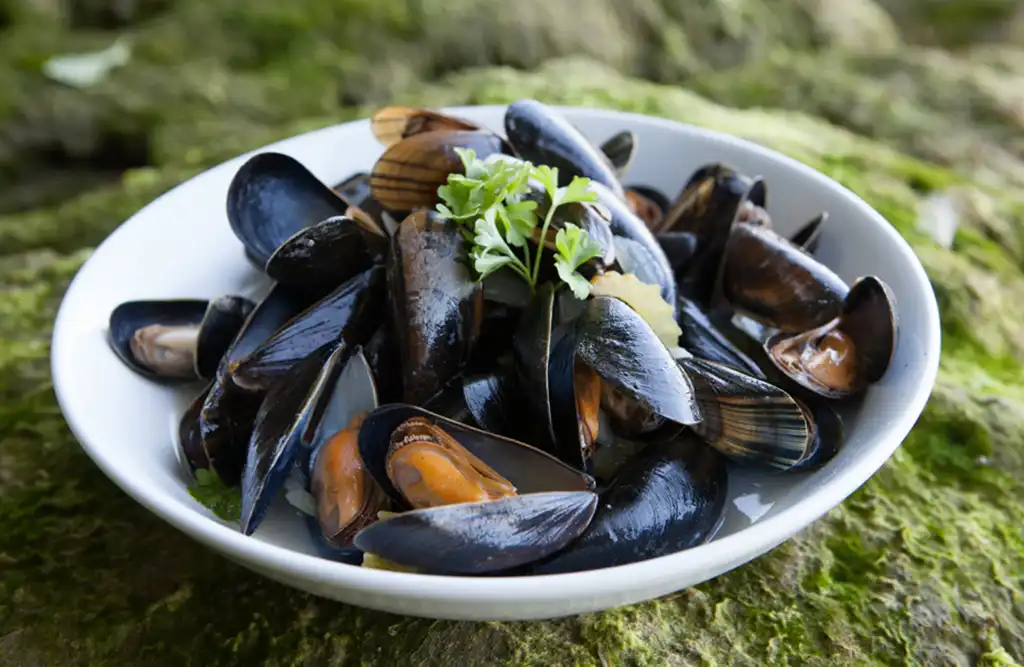Conwy mussels