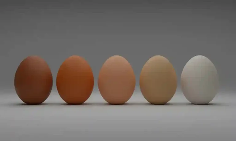 Brown Eggs vs White Eggs