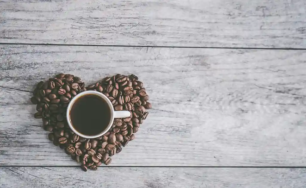 coffee Lover