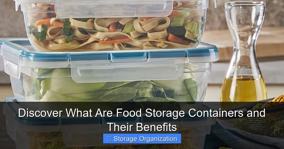 Discover What Are Food Storage Containers and Their Benefits